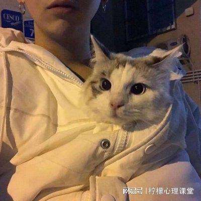 醉仙武百度手游下载